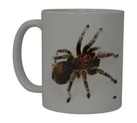 Funny Coffee Mug Scary Spider Rose Tarantula Realistic Novelty Cup Great Gift Idea For Men Women Office Party Employee Boss Coworkers (Rose Tarantula)