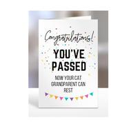 Funny Congratulations you've passed driving test card, gifts for men, women, him, her, presents for Christmas, Congrats, Joke, Just, now your cat grandparent can rest, A5-175_47