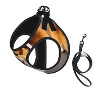 Funny Corgi Butt Brown Print Small Dog Harness with Leash Set, No Escape Easy Walk Puppy Harnesses for Training Walking
