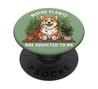 Funny Corgi Maybe Plants are Addicted to Me Dog PopSockets Adhesive PopGrip