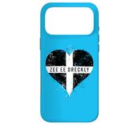 Funny Cornish Dialect A Cool Cornwall Flag for Proud Cornish Case for iPhone 17 Pro Max