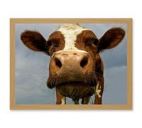 Artery8 Funny Cow Farm Animal Close Up A4 Artwork Framed Wall Art Print