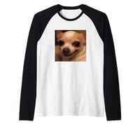 Funny Cute Chihuahua Face Blurry Dog Meme Raglan Baseball Tee