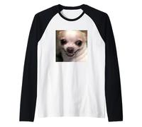 Funny Cute Chihuahua Face Blurry Meme Dog Humor Raglan Baseball Tee