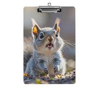 Funny Cute Squirrel Clipboard, A4 Acrylic Clipboard with Hanging Hole, Ultra-Light Clip Board - Holds 100 Sheets, Shatterproof Document Holder for Office, 12.5" X 8.5"
