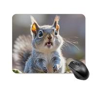 Funny Cute Squirrel Square Mouse Pad Portable Computer Mousepad with Non-Slip Rubber Base 20 * 25cm Ultra-Thin Gaming Mouse Mat for Computer Laptop Office Desk Accessories