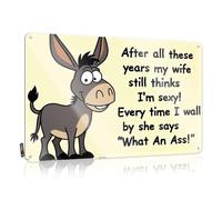 Funny Decor For Bar Donkey With Caption: After All These Years My Wife Still Thinks I'M Sexy Tin Sign Pool Zone Tin Sign Bar Sign Home Decor(20X30CM)