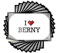 Funny Decor Window Sticker | I Love Berny Summer for Travel Decor(6X9CM)