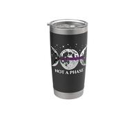 Funny Demisexual Pride Flag Not A Phase Stainless Steel Insulated Tumbler