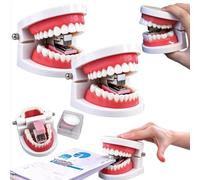 Funny Denture Shaped Stapler, Teeth Stapler with Staples，2pc | Manual Articulated Tooth Shaped Staplers, Mini Mouth Shape Stapler for Desk Office, Novelty Desktop Design