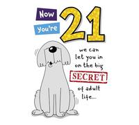 Funny Dog 21st Birthday Card with Secret of Adult Life Message