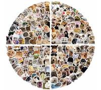 Funny Dog and Cat Meme Stickers,Cartoon Graffiti Stickers,200Pcs Cat and Dog Vinyl Waterproof Decals for Kids Teens,for Phone Laptop Water Bottles Skateboard Computer Phone Luggage Guitar Car Gifts