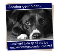 Funny Dog Birthday Card - Another Year Older. Its Hard To Keep All The Joy And Excitement Under Control - For Dog Lovers