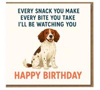 Funny Dog Birthday Card - Every Snack You Make Every Bite You Take I’ll Be Watching - Cute Spaniel Illustration - Humour Card for Dog Lovers, Friends and Family