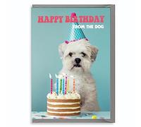 Funny Dog Birthday Card From Pet - Hilarious Animal Greeting - Cute Cake Hat Party Design For Her Him Friend Mum Dad C17