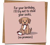 Funny Dog Birthday Card - 'I'll Try Not to Steal Your Socks (No Promises)' - Cute Puppy Design, 145mm x 145mm Square Greeting Card with Kraft Envelope