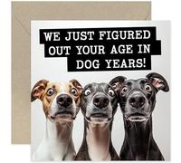 Funny Dog Birthday Greeting Cards for Dad - Ideal Birthday Card for Dog Owners - 'Figured out your age in dog years' Joke Birthday Card - 40th 50th 60th 70th Birthday Card for Him Her