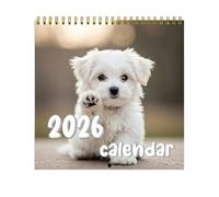 Funny Dog Calendar 2026,Monthly Desk Calendar - Large Grid Home Planner for Holiday Preparations Fitness Routines Family Activity Scheduling Personal Goal Tracking