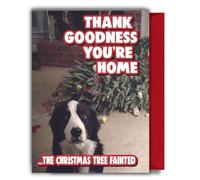 Funny Dog Christmas Card - Thank Goodness You’re Home XM332