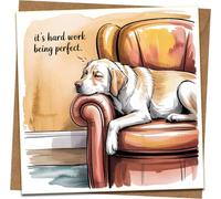 Funny Dog Greeting Card - “It’s Hard Work Being Perfect” - 145mm x 145mm Square - Cute Labrador on Sofa Illustration - Blank Inside - Birthday/Any Occasion - Includes Kraft Envelope