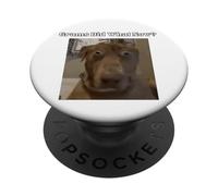 Funny Dog Lovers Siblings Grandkids Grams Did What Meme PopSockets Adhesive PopGrip