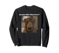 Funny Dog Lovers Siblings Grandkids Grams Did What Meme Sweatshirt