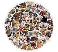 Funny Dog Meme Stickers,Chihuahua Graffiti Stickers,50Pcs Vinyl Waterproof Decals for Kids Teens,for Phone Laptop Water Bottles Skateboard Computer Phone Luggage Guitar Car Gifts