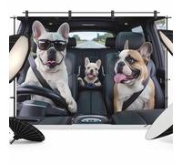 Funny Dog Print Backdrop for Photoshoot, Photography Photo Studio Background Wall Backdrop, Summer Modern Driving Animals Back Drop Banner Panel for Portraits Wedding Party Live Streaming Decor 7x5Ft