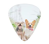 funny dog Print Guitar Picks, 12 Pcs Guitar Plectrums Celluloid Pick Classical Triangle Picks for Acoustic, Electric, Bass Guitar including 0.46mm 0.71mm 0.96mm