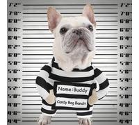 Funny Dog Prisoner Costumes, Large