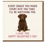 Funny Dog Valentine's Day Card - Every Snack You Make, Every Bite You Take, I'll Be Watching - Cute Labrador - I Love Romantic Card for Him or Her
