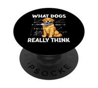 Funny Dog What Dogs Really Think Chewing Shoe Humor PopSockets Adhesive PopGrip