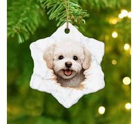Funny Doggy Snowflake Ceramic Christmas Ornaments,Bichon Frise Ornament for Xmas Tree Decoration Pendant Bauble Collectible Xmas Keepake Souvenir New Year Memorial for Kids