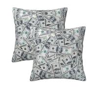 Funny Dollar Money Print Throw Pillow Covers 18x18 Inches,Pillow Cushion Cases,Throw Pillows for Couch Bedroom Living Room,Set of 2