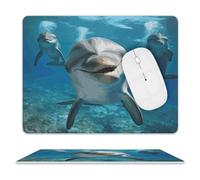 Funny Dolphin Looking at You Leather Mouse Pad Mouse Mat