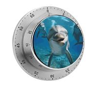 Funny Dolphin Looking at You Mechanical Kitchen Timer for Cooking 60 Min with Magnetic Backing Loud Alarm,Stainless Steel Wind Up Countdown Timer Cute Egg Timers for Cooking Studying Gaming Classroom