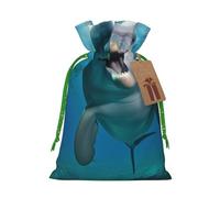Funny Dolphin Looking at You Printed Christmas Drawstring Bags Reusable Bag for Party Xmas Gift Wrapping, Green Ribbon, S