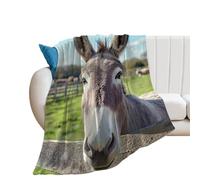 Funny Donkey 250GSM Flannel Throws Blanket Lightweight Warm Fleece Knee Blankets for Bed Sofa 30"*40"（76 * 100cm）