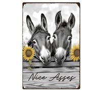 Funny Donkey Bathroom Wall Decor Sign Nice Asses Vintage Metal Tin Sign for Bathroom Wall Decoration, Wall Sign Gift for Wife Mom 8 x 12 Inch