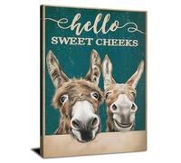 Funny Donkey Canvas Wall Art Hello Sweet Cheeks Bathroom Quote Sign Decor Cute Farmhouse Animal Wall Picture Vintage Teal Rustic Country Decor for Bathroom Toilet Washroom Home Decoration 30x40cm