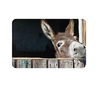 Funny Donkey Door Mat Indoor Outdoor Welcome Mats Non Slip Doormat for Entryway Rug 16" x 24" Floor Mat for Front Porch Rug Carpet for Laundry Bathroom Bedroom