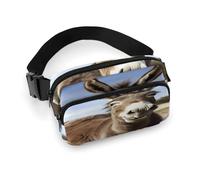 Funny Donkey Fanny Pack Belt Bag with Adjustable Strap Fashion Waist Bag for Outdoor Sports Hiking, white, 20x13cm, Full Printed Waist Bag