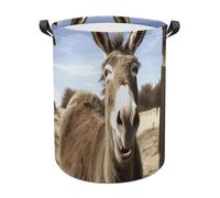 Funny Donkey Laundry Basket with Handles, Laundry Hamper with Internal Support, Foldable Waterproof Clothes Hamper 44x44cm for Bedroom, Bathroom, Laundry Room, Living Room