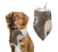 Funny Donkey Pet Scarf,Soft Durable Triangle Dog Bandanas Lightweight Breathable Comfortable Pet Bib for Small Medium Large Breed.