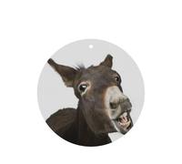 Funny Donkey Printing Fashion Car Air Freshener Cards 10 Pcs Car Scented Hanging Sheets