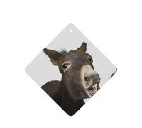 Funny Donkey Printing Fashion Car Air Freshener Cards 10 Pcs Car Scented Hanging Sheets