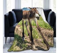 Funny Donkey Throw Blankets Flannel Blanket Warm Cozy Bed Blanket Lightweight Soft Blankets for Couch Sofa Bed Chair Home Decor 60"X50"