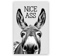 Funny Donkey Wall Art Nice Ass,Donkey in Bathroom Posters Middle Ages Abstract Farmhouse Home Canvas Print Painting Interest Black and White Wall Decor 16x24inch Unframed