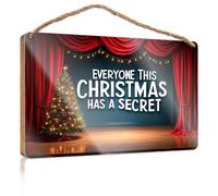 Funny Door Signs for Office Everyone This Christmas Has A Secret Boys Bedroom Decorations Bathroom Wall Art(20X30CM)