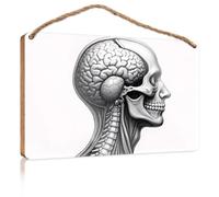 Funny Doorsign Anatomical Illustration of Human Head and Brain Summer Decor Kitchen Signs Wall Decor(20X30CM)